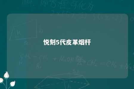 悦刻5代皮革烟杆